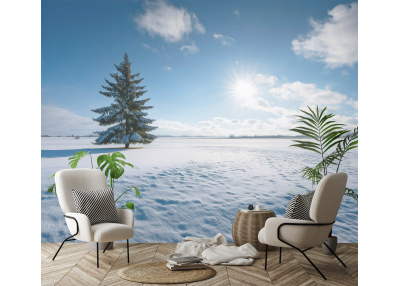 Снимка на фототапет